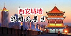 荡妇性爱无毛视频中国陕西-西安城墙旅游风景区