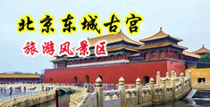 凸轮阴户特写体内射精天美传媒中国北京-东城古宫旅游风景区